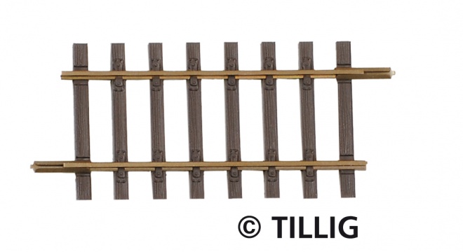 Straight track G4 57mm<br /><a href='images/pictures/Sachsenmodelle/85131.jpg' target='_blank'>Full size image</a>